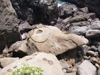 宮崎 019-1