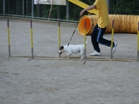 DSC01038-1