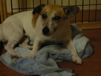 blog 019-1