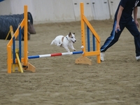 DSC00210-1