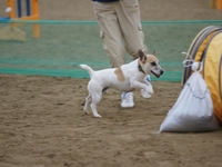 DSC00532-1