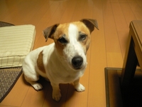 blog 017-1