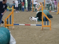 DSC00207-1