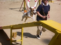 013-1