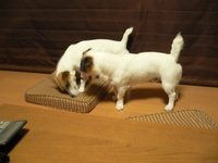 blog 005-1