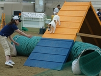 DSC00477-1