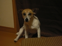 blog 018-1