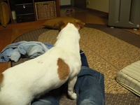 blog 009-1