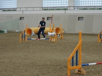 DSC00463-1