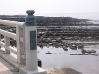 宮崎 002-1