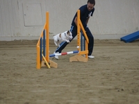 DSC00209-1