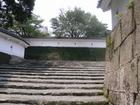 宮崎 021-1