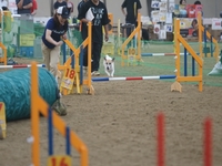 DSC00524-1