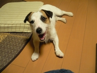 blog 020-1
