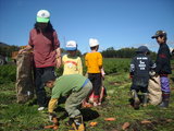 c04719b4.JPG