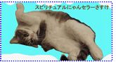 猫ちゃんブログの『スピリチュアルにゃんセラーさすけ』はこちらをクリックしてください。さすけとよもぎとわさびちゃんが癒しの世界に♪