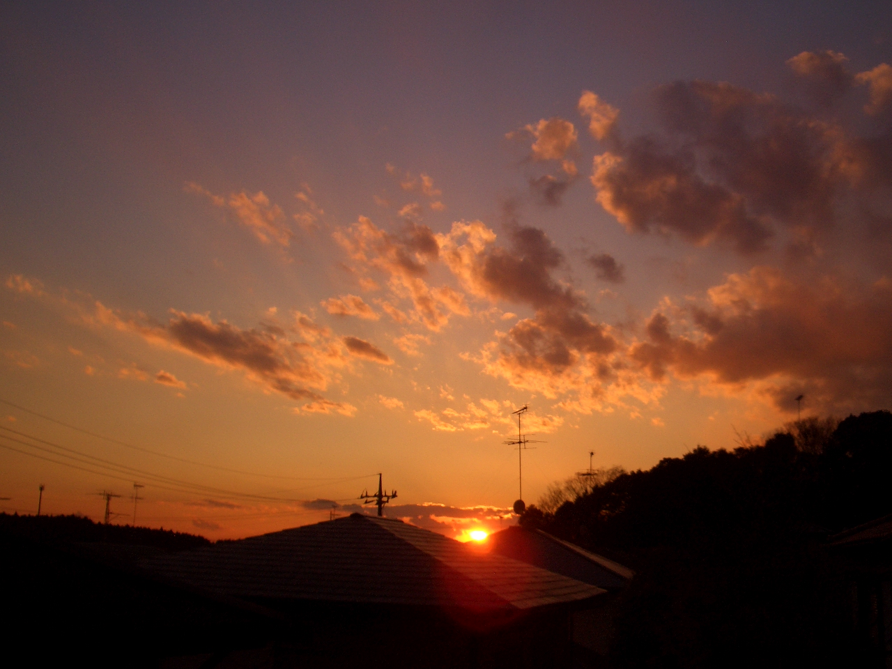 2010/2/5ͼ��