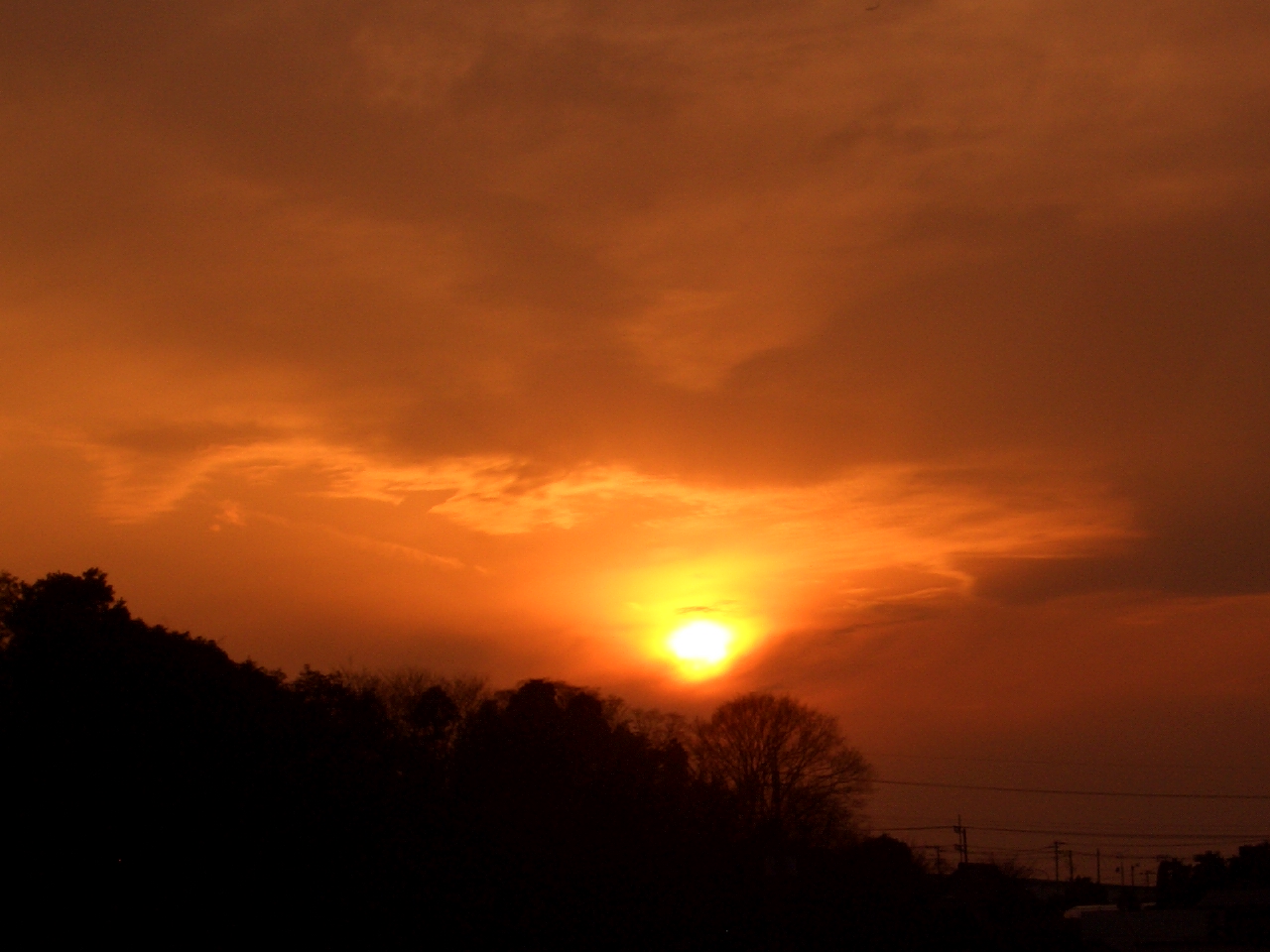 2010/1/31ͼ��
