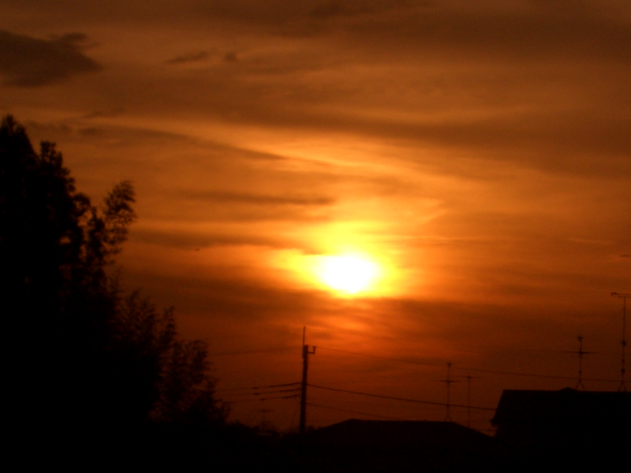 2010/2/9ͼ��