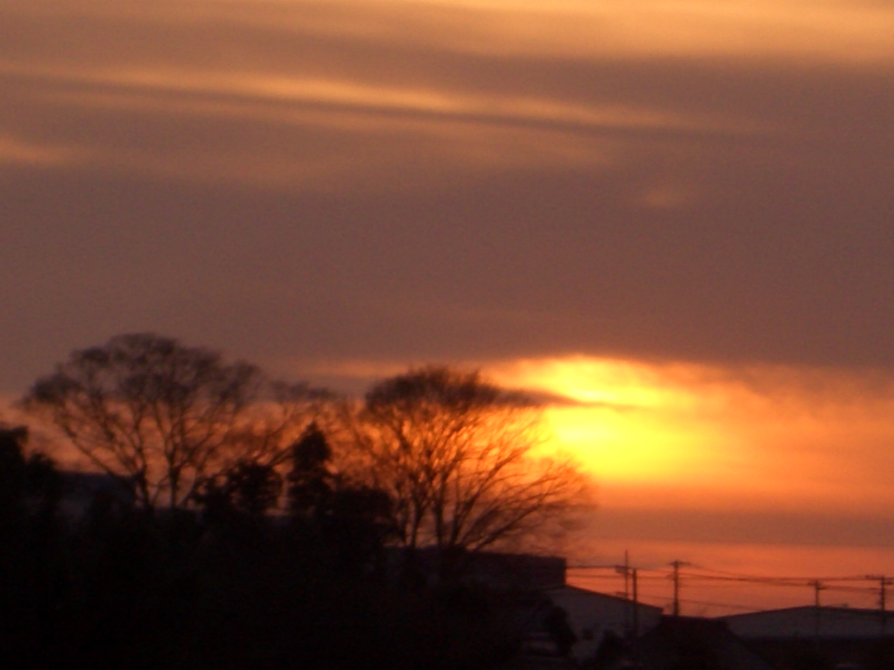 2010/1/20ͼ�Ƥ�