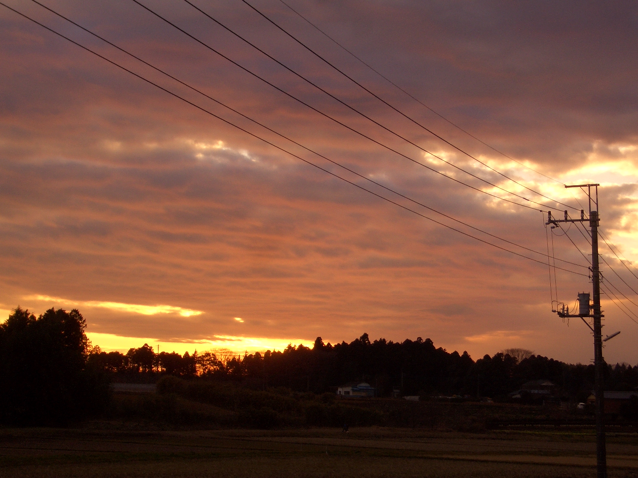 2010/1/23ͼ�Ƥ�