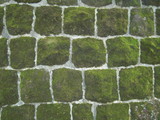 PICT0004