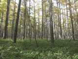 PICT0008