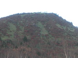 PICT0014
