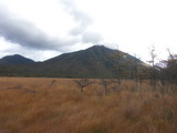 PICT0010