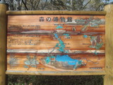 PICT0006