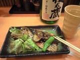 20080509���亮�γ��Ƥ�