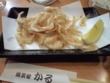 20090419���뭡