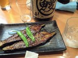 20090419���뭣