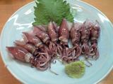 20090305�ۥ��륤��