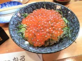 20091231���륤����Ч