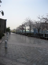 44d574cf.JPG