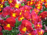 c1dc3007.JPG
