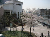 e071ef38.JPG
