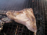 ���ʤ���ƻ��BBQ���֥���դ�