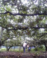 49cb31f7.jpg