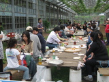 20060514