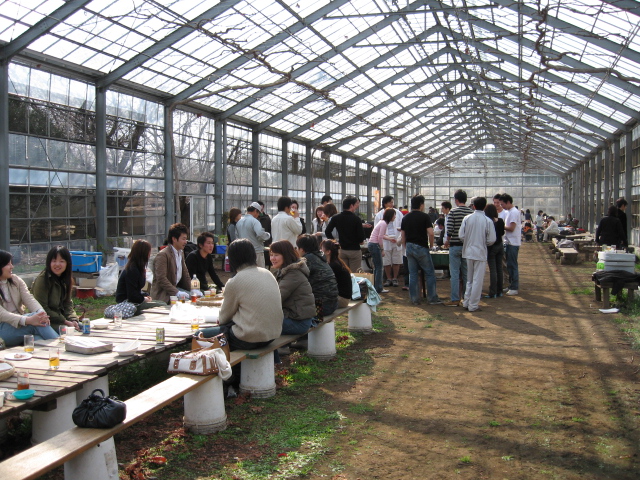 さらに様子20060326