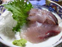 たじま屋:飛び魚の刺身