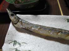 たじま屋:かますの干物