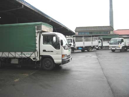 神奈川県肉豚共進会:豚をのせたトラックが集まる