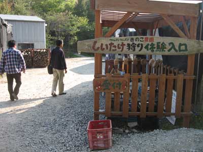 モクモク手作りファームキノコ狩り体験