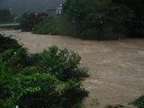 miyoribasi