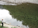 2e682ef7.JPG