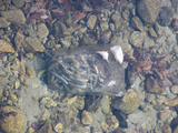 4c23135f.JPG