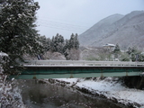 5c8de715.JPG